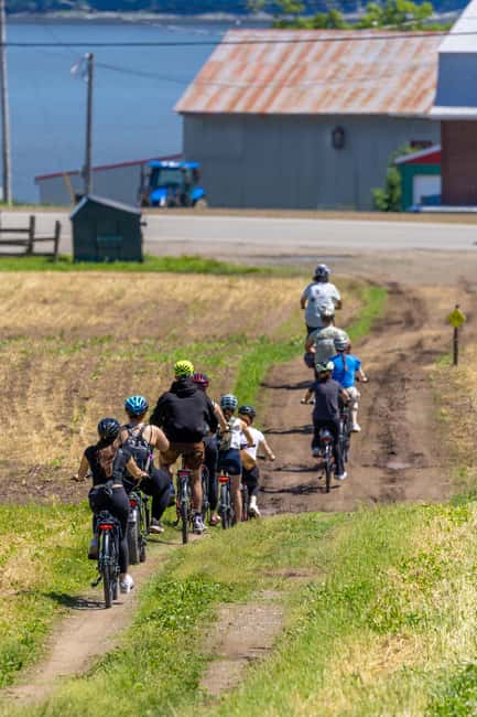 Quebec City: Ile d'Orléans Guided E-Bike Tour with Tastings - A Family Vineyard With Wine, Cheese, and Views
