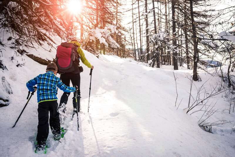 Quebec City: Jacques-Cartier National Park Snowshoeing Tour - Key points to know before you book