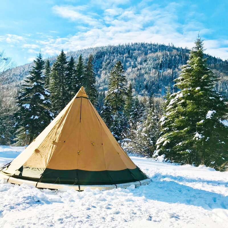 Quebec City: Jacques-Cartier National Park Snowshoeing Tour - Who should book this winter day out?
