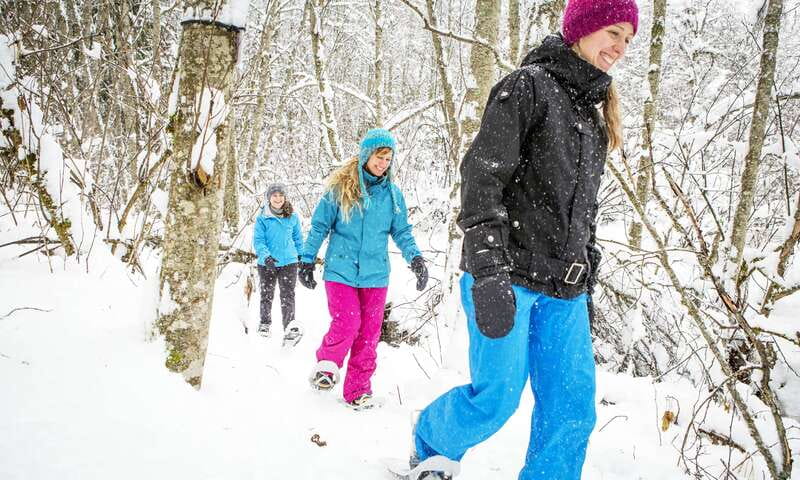 Quebec City: Jacques-Cartier National Park Snowshoeing Tour - Leaving Quebec City for the Laurentian snow