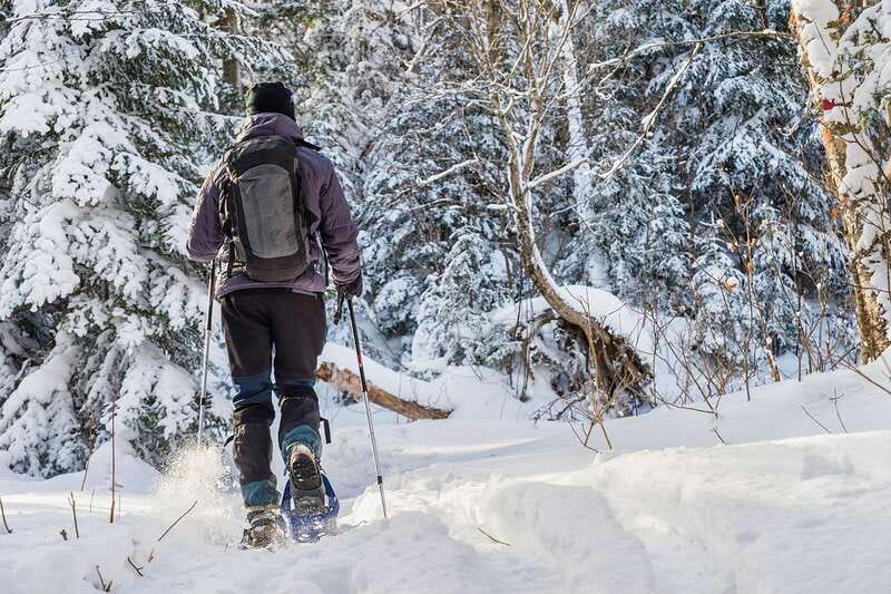 Quebec City: Jacques-Cartier National Park Snowshoeing Tour - Following the Belleau Creek route through the forest