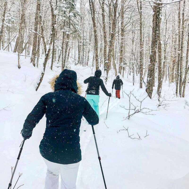 Quebec City: Jacques-Cartier National Park Snowshoeing Tour - How hard is the snowshoe hike?