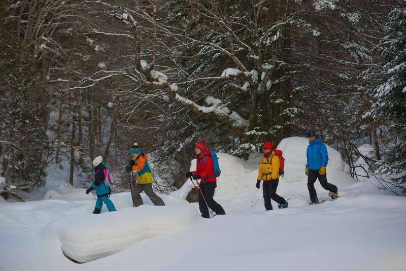 Quebec City: Jacques-Cartier National Park Snowshoeing Tour - Hot chocolate, local snacks, and a warm lunch