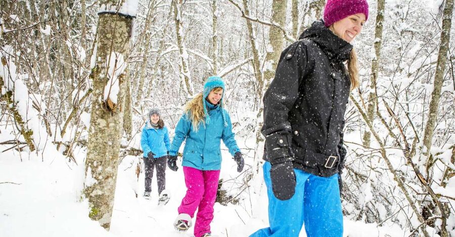 Quebec City: Jacques-Cartier National Park Snowshoeing Tour - Free time after the guided activity