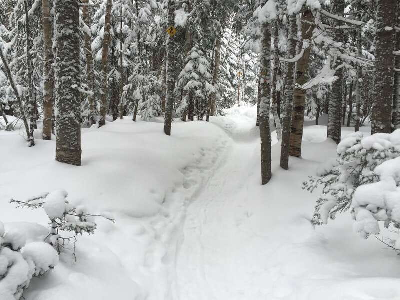 Quebec City: Jacques-Cartier National Park Snowshoeing Tour - What makes the guides important