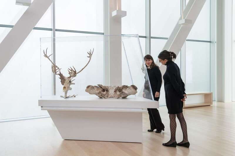 Quebec City: MNBAQ National Fine Arts Museum Entry Ticket - Five things to know before you go