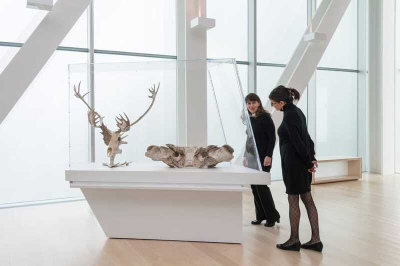 Quebec City: MNBAQ National Fine Arts Museum Entry Ticket - Temporary exhibitions can change the value of your visit