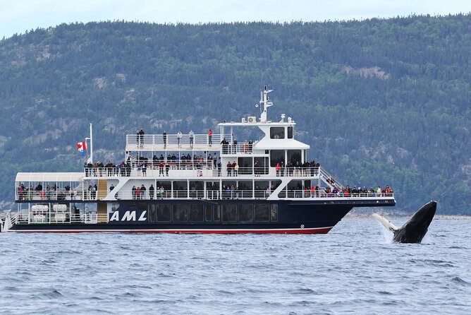 Québec City: Whale Watching Tour with Bus Transportation - The three-hour journey to Baie-Sainte-Catherine