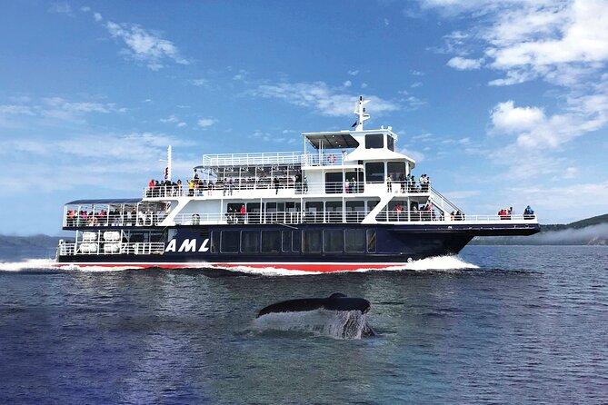 Québec City: Whale Watching Tour with Bus Transportation - The AML Grand Fleuve: comfort and wide views
