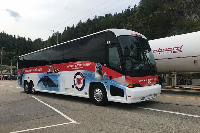 Québec City: Whale Watching Tour with Bus Transportation - Weather, clothing, and comfort