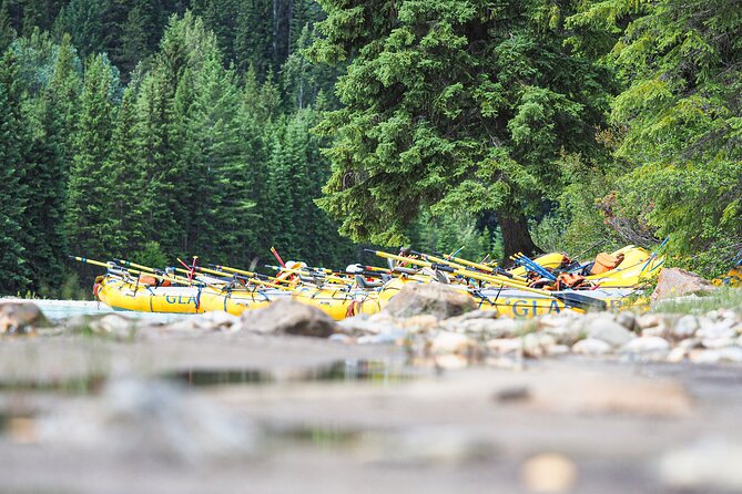 Rafting Adventure on the Kicking Horse River - Who should book this rafting trip