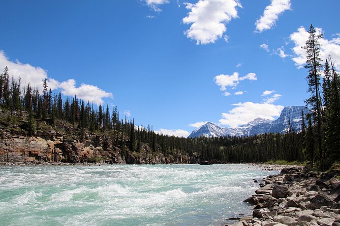 Rafting Athabasca Falls Run in Jasper - What the guides add to the day