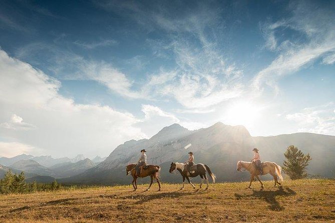 Ridge Ride 2-Hour Horseback Trail Ride in Kananaskis - Key points to know before you book