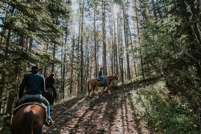 Ridge Ride 2-Hour Horseback Trail Ride in Kananaskis - Climbing to the Kananaskis ridge