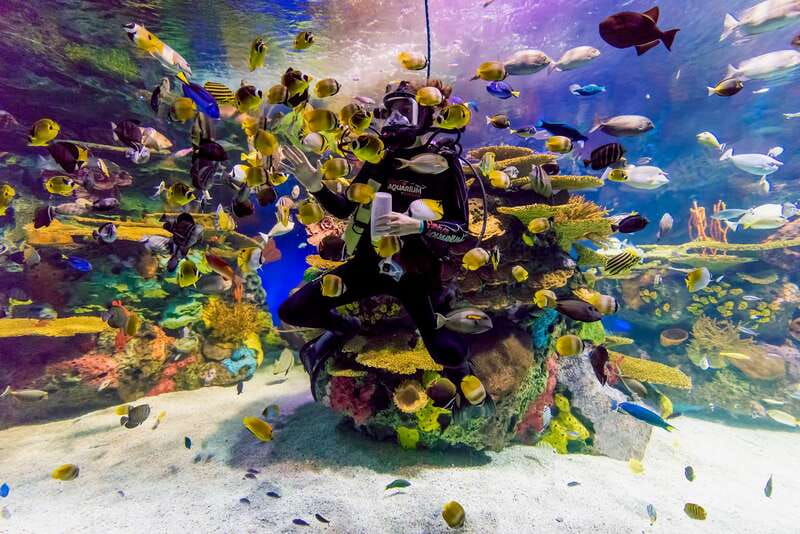 Ripley's Aquarium: Sharks After Dark Entry (After 5PM) - Who should book Sharks After Dark?