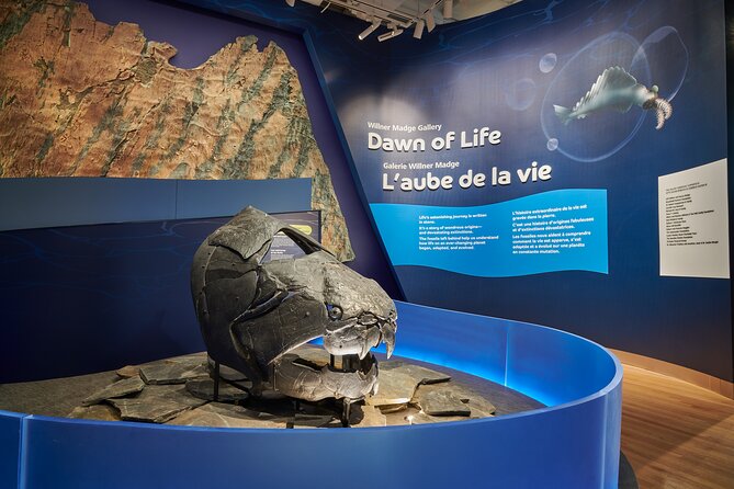 Royal Ontario Museum Admission - Why the Royal Ontario Museum is worth your time