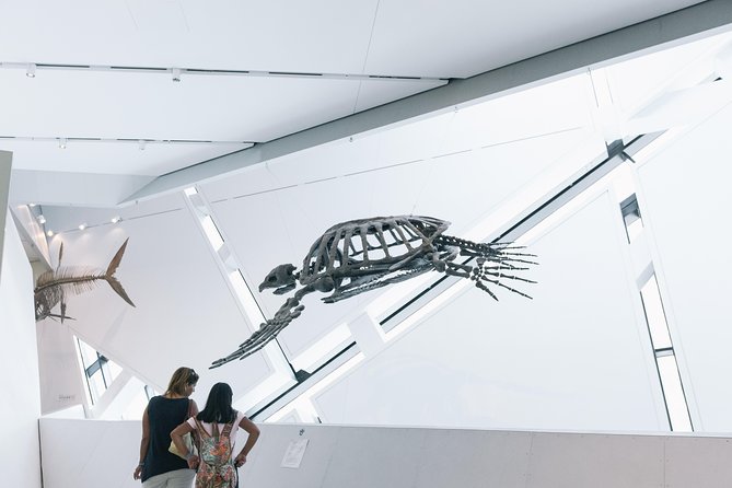 Royal Ontario Museum Admission - Indigenous objects and cultural collections