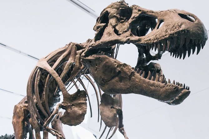Royal Ontario Museum Admission - Entering the ROM with a mobile ticket