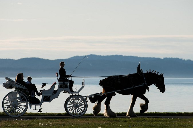 Salish Sea Horse-Drawn Carriage Tour of Victoria - Timing: a 45-minute tour with some flexibility
