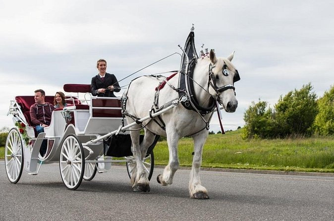 Salish Sea Horse-Drawn Carriage Tour of Victoria - Group size and the real price of the carriage