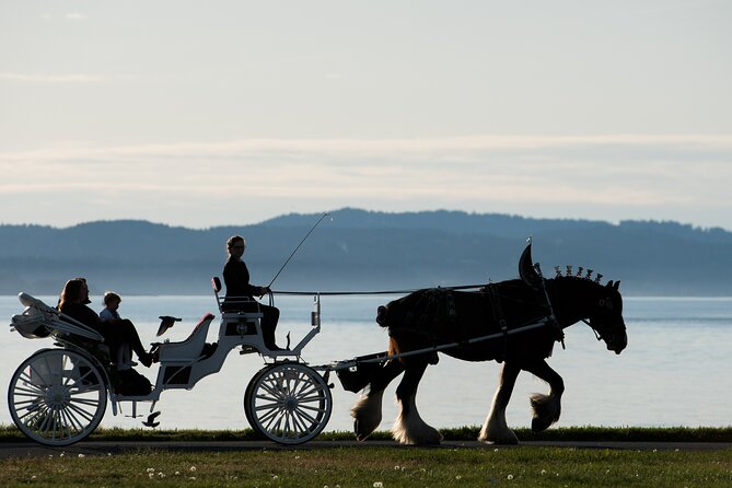 Salish Sea Horse-Drawn Carriage Tour of Victoria - The Legislative Assembly and the Inner Harbour setting