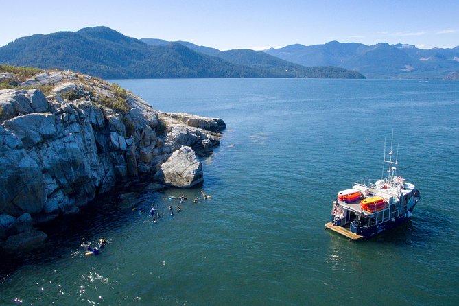 Scuba Dive Boat Charter in Vancouver (Certified Divers Only!) - What you may see beneath the sound