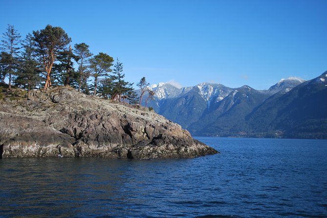 Scuba Dive Boat Charter in Vancouver (Certified Divers Only!) - The people and the pace onboard