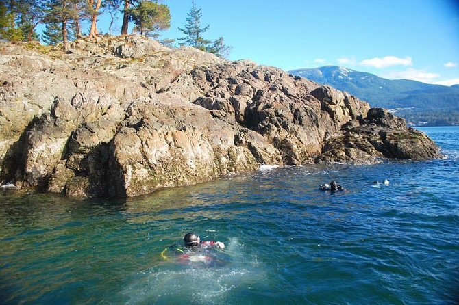 Scuba Dive Boat Charter in Vancouver (Certified Divers Only!) - Soup, tea, and the return to Horseshoe Bay