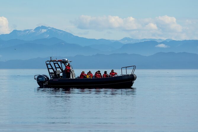 Sea Otter and Whale Watching Tour on Northern Vancouver Island - The crew and equipment make a difference