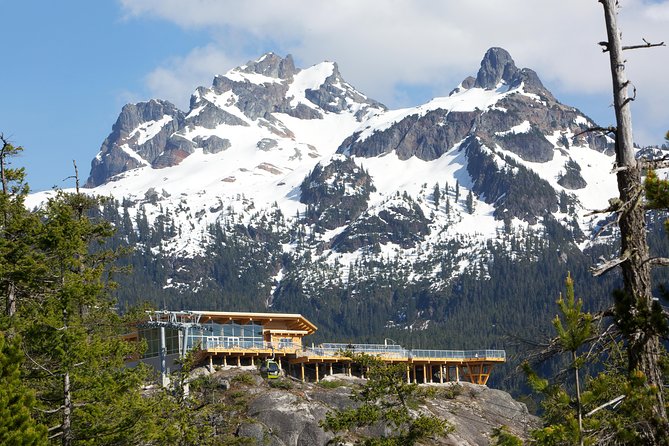 Sea to Sky Gondola Ticket - Summit viewing decks and the Sky Pilot suspension bridge