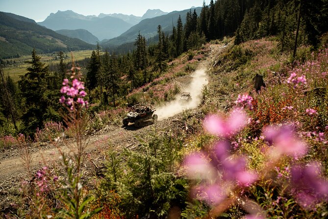 Side-by-Side Off-Roading Adventures on Cougar Mountain - Starting at Cougar Mountain Road