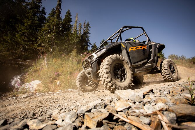 Side-by-Side Off-Roading Adventures on Cougar Mountain - The views that break up the action