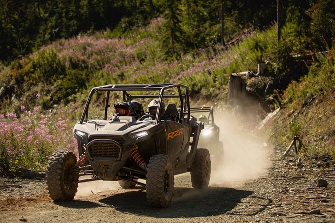 Side-by-Side Off-Roading Adventures on Cougar Mountain - What the first few minutes tell you