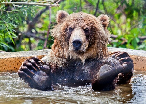 Skip the Line: Kamloops BC Wildlife Park Admission Ticket - Key points before you go