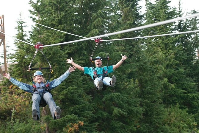 Small Group Tour: Capilano Suspension Bridge and Grouse Mountain from Vancouver - Capilano Suspension Bridge Park among the evergreens