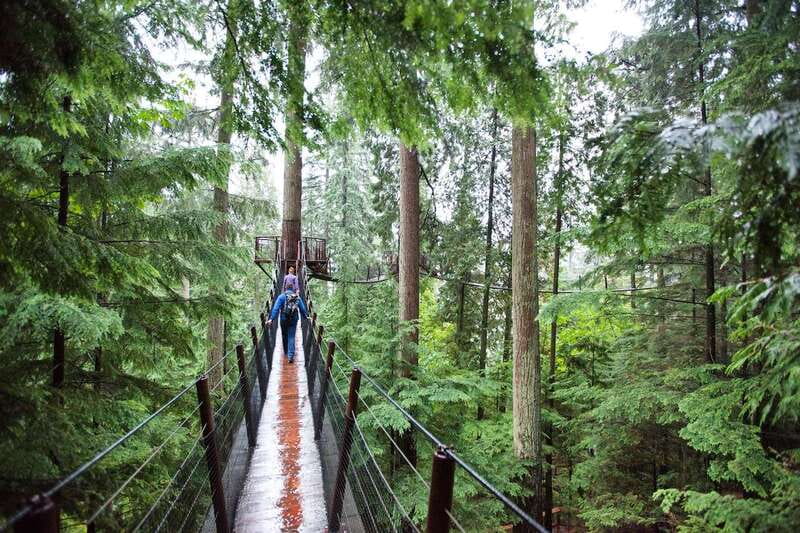 Small group tour of Capilano Bridge & Grouse Mountain - Key points to know before booking