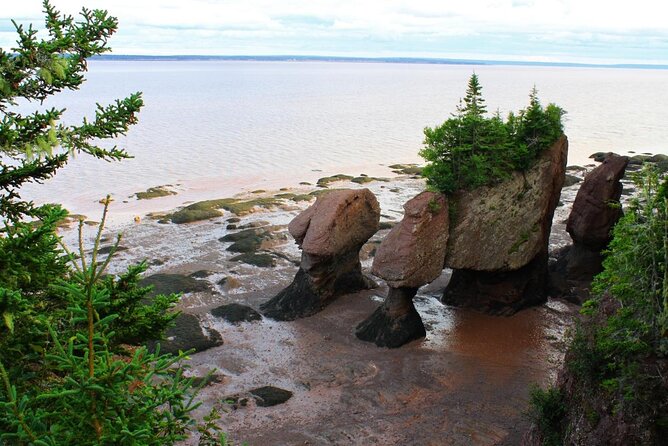 Small Group Tour - Peggy's Cove, Lunenburg, the Annapolis Valley - Why this route works from Halifax