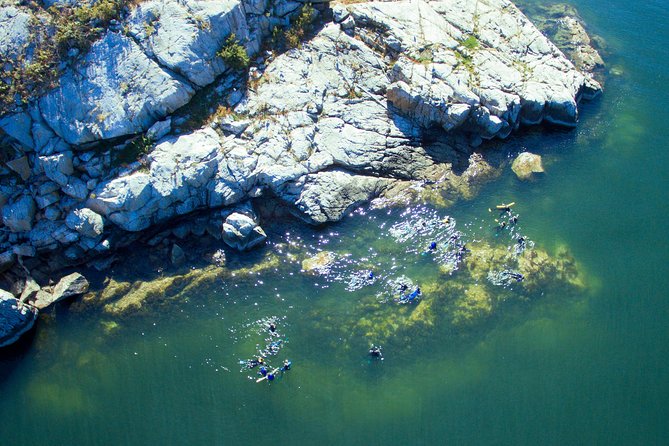 Snorkel, Kayak, and Seal Adventure: Vancouver Boat Tour - Setting out from Horseshoe Bay at 2 p.m.