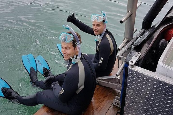 Snorkel, Kayak, and Seal Adventure: Vancouver Boat Tour - The crew makes the difference