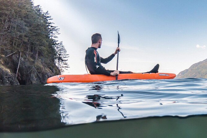 Snorkel, Kayak, and Seal Adventure: Vancouver Boat Tour - What the $105.10 price gets you