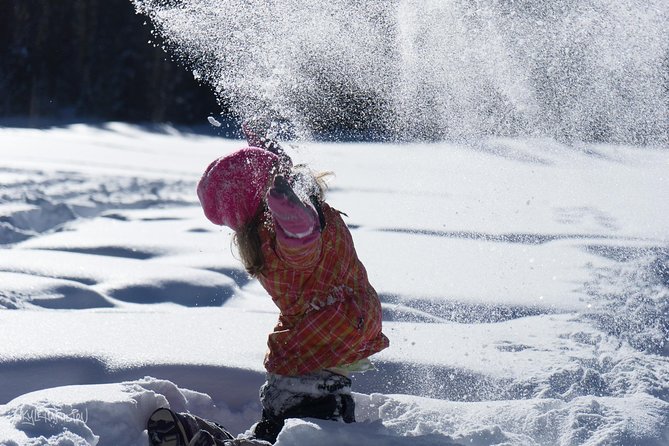 Snowshoeing in Kananaskis - Key Points Before You Book