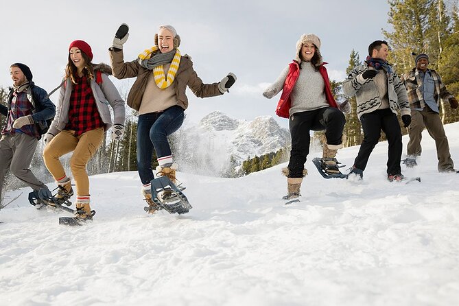 Snowshoeing in Kananaskis - A Two-Hour Walk Through the Kananaskis Winter