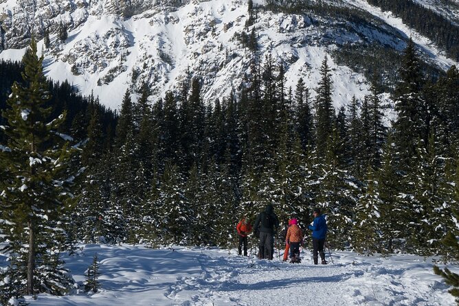 Snowshoeing in Kananaskis - What to Wear for Two Hours in the Cold
