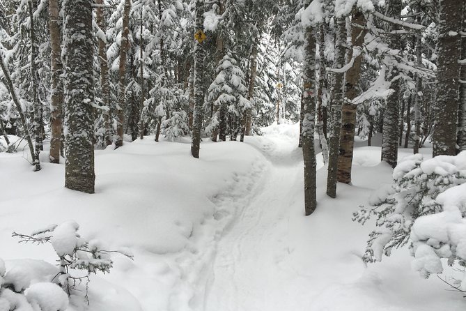Snowshoeing Tour in Jacques-Cartier National Park - Leaving Old Quebec at 9 a.m.