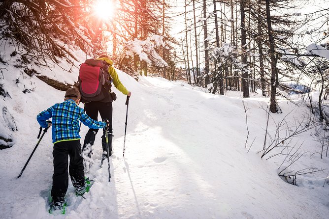 Snowshoeing Tour in Jacques-Cartier National Park - Arriving at Jacques-Cartier National Park