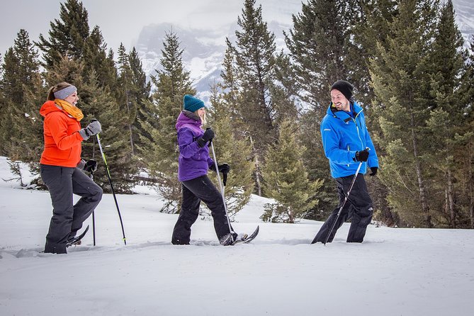 Snowshoeing Tour to the Paint Pots - Hot chocolate, maple taffy, and a crazy carpet