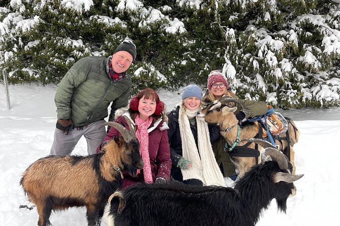 Snowshoeing with mountain goats Private activity - Key points at a glance