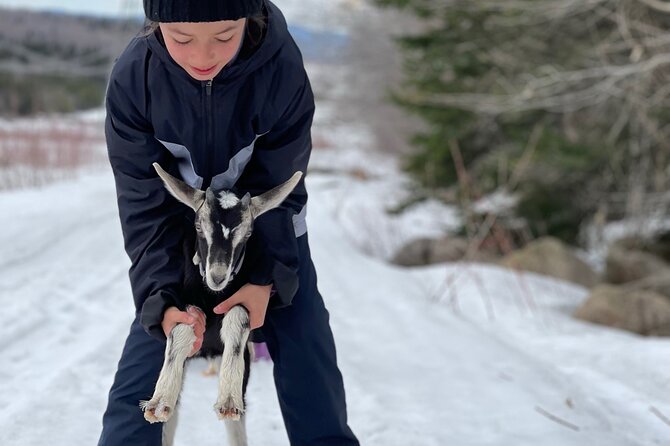 Snowshoeing with mountain goats Private activity - A campfire meal beside the river