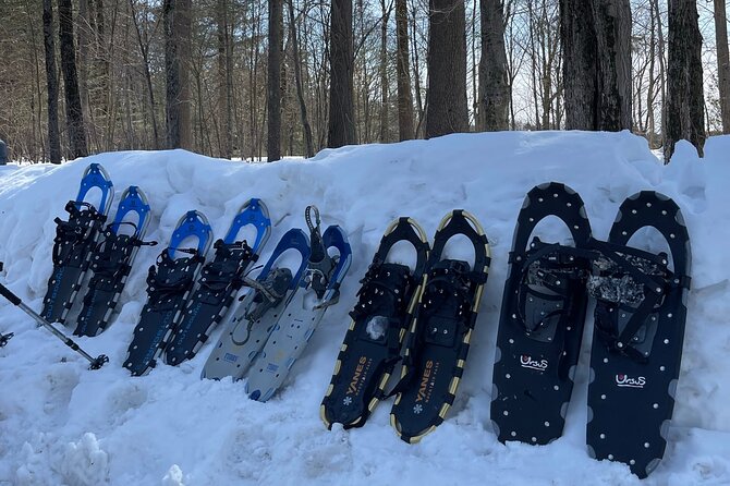 Snowshoeing with mountain goats Private activity - Who should book this activity?