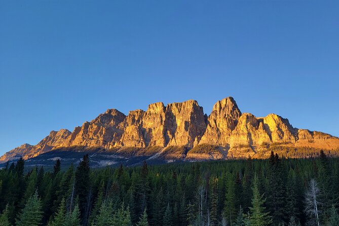 Spectacular Banff Day - Gondola Included - Bow Falls: A Quick River Stop